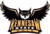 Kennesaw State University





 Logo